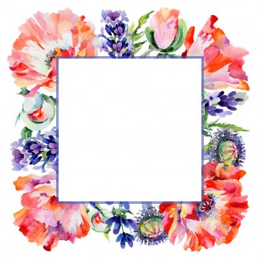 Kır çiçeği haşhaş çiçek çerçeve suluboya tarzında.