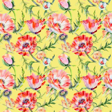 Kır çiçeği haşhaş çiçek deseni suluboya tarzında.