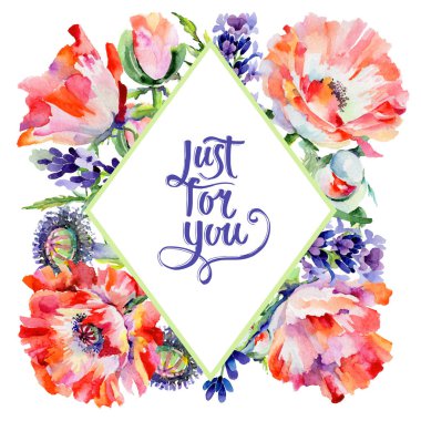 Kır çiçeği haşhaş çiçek çerçeve suluboya tarzında.