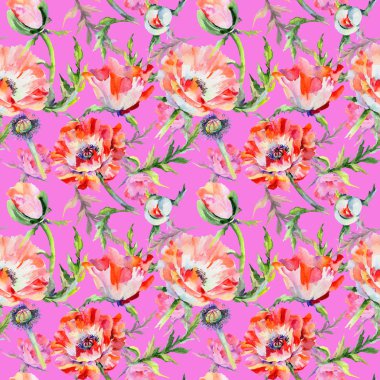 Kır çiçeği haşhaş çiçek deseni suluboya tarzında.