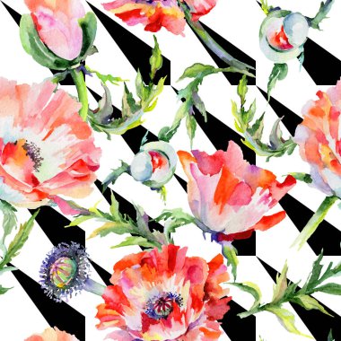 Kır çiçeği haşhaş çiçek deseni suluboya tarzında.