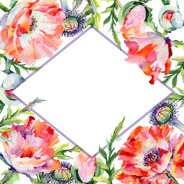 Wildflower poppy flower frame in a watercolor style. — Stock Photo, Image