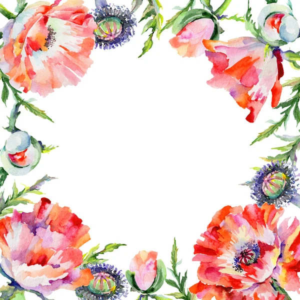 Wildflower poppy flower frame in a watercolor style. — Stock Photo, Image