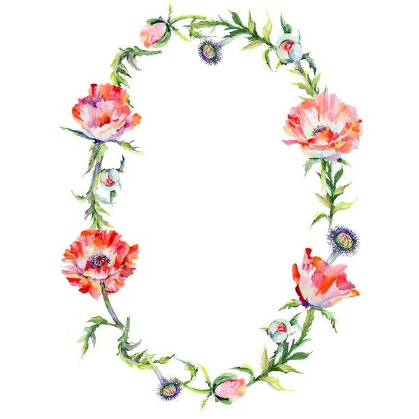 Wildflower poppy flower wreath in a watercolor style. — Stock Photo, Image