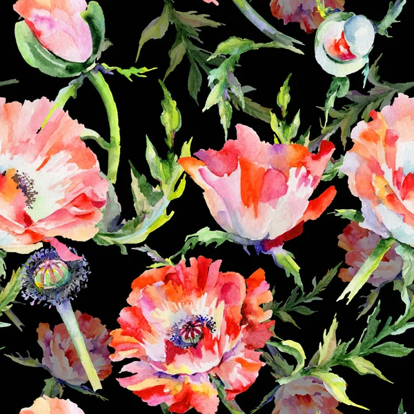 Padrão de flor de papoula de flores silvestres em um estilo aquarela . — Fotografia de Stock