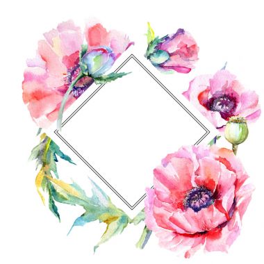 Kır çiçeği haşhaş çiçek çerçeve suluboya tarzında.