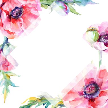 Kır çiçeği haşhaş çiçek çerçeve suluboya tarzında.