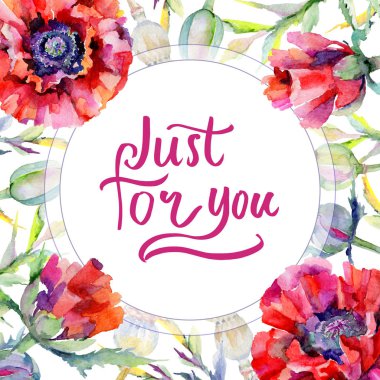 Kır çiçeği haşhaş çiçek çerçeve suluboya tarzında.