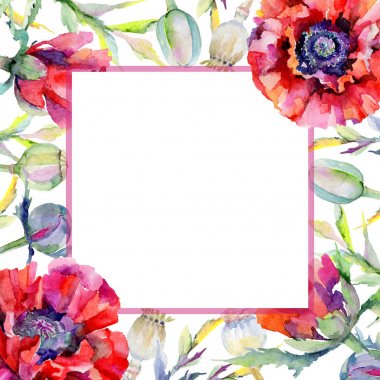 Kır çiçeği haşhaş çiçek çerçeve suluboya tarzında.