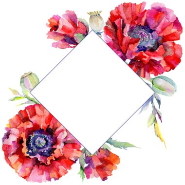 Kır çiçeği haşhaş çiçek çerçeve suluboya tarzında.