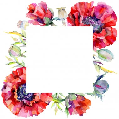 Kır çiçeği haşhaş çiçek çerçeve suluboya tarzında.