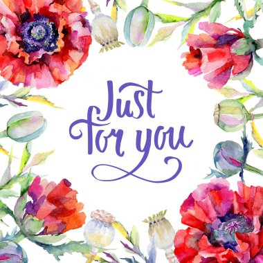 Kır çiçeği haşhaş çiçek çerçeve suluboya tarzında.