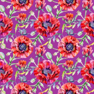 Kır çiçeği haşhaş çiçek deseni suluboya tarzında.