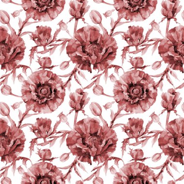 Kır çiçeği haşhaş çiçek deseni suluboya tarzında.