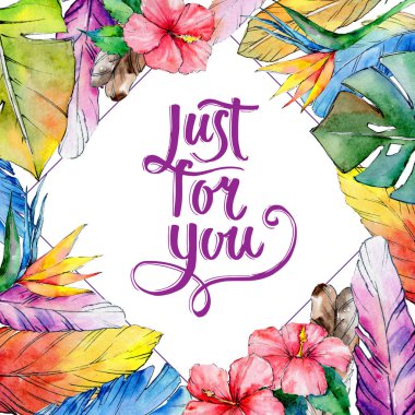 Suluboya kuş kanat tüy çerçevesinden.