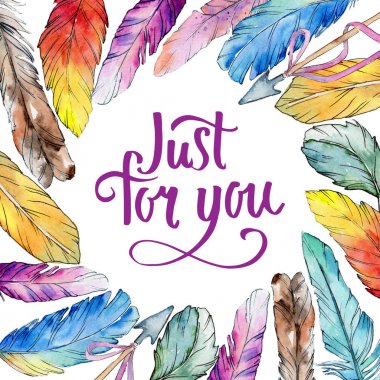 Suluboya kuş kanat tüy çerçevesinden.