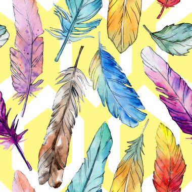 Suluboya kuş tüyü desen Wing.