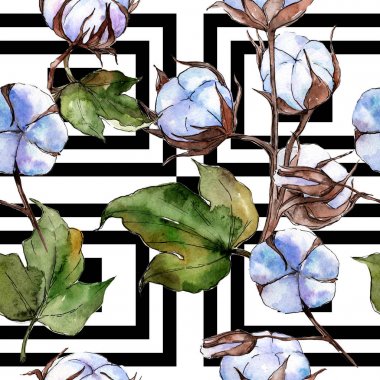 Kır çiçeği pamuk çiçek deseni suluboya tarzında.