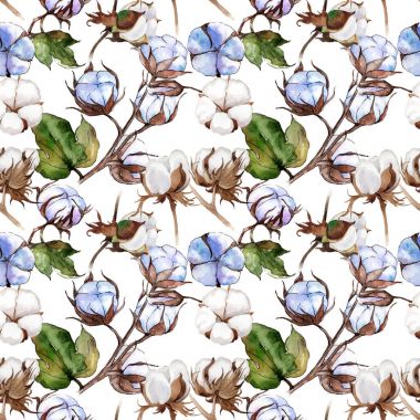 Kır çiçeği pamuk çiçek deseni suluboya tarzında.