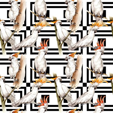 Gökyüzü kuş beyaz Amerika papağanı desende bir yaban hayatı suluboya stili tarafından.