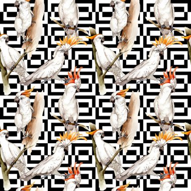 Gökyüzü kuş beyaz Amerika papağanı desende bir yaban hayatı suluboya stili tarafından.