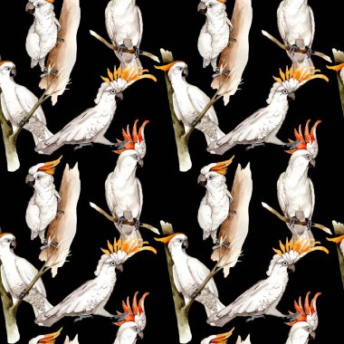 Gökyüzü kuş beyaz Amerika papağanı desende bir yaban hayatı suluboya stili tarafından.