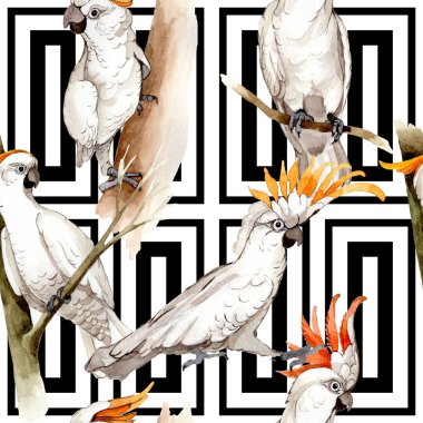 Gökyüzü kuş beyaz Amerika papağanı desende bir yaban hayatı suluboya stili tarafından.