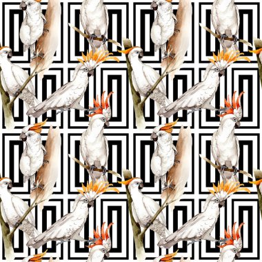 Gökyüzü kuş beyaz Amerika papağanı desende bir yaban hayatı suluboya stili tarafından.