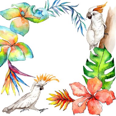 Gökyüzü kuş beyaz Amerika papağanı çerçevede suluboya stili tarafından bir yaban hayatı.