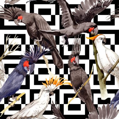 Gökyüzü kuş siyah Amerika papağanı desende bir yaban hayatı suluboya stili tarafından.