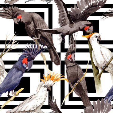 Gökyüzü kuş siyah Amerika papağanı desende bir yaban hayatı suluboya stili tarafından.