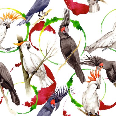 Gökyüzü kuş siyah Amerika papağanı desende bir yaban hayatı suluboya stili tarafından.