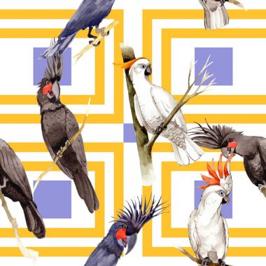 Gökyüzü kuş siyah Amerika papağanı desende bir yaban hayatı suluboya stili tarafından.