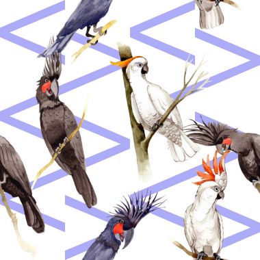 Gökyüzü kuş siyah Amerika papağanı desende bir yaban hayatı suluboya stili tarafından.