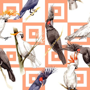 Gökyüzü kuş siyah Amerika papağanı desende bir yaban hayatı suluboya stili tarafından.