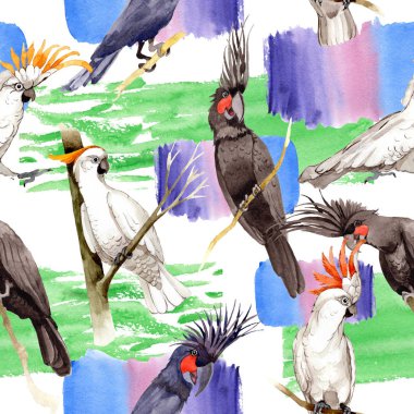 Gökyüzü kuş siyah Amerika papağanı desende bir yaban hayatı suluboya stili tarafından.