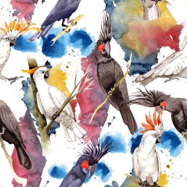 Gökyüzü kuş siyah Amerika papağanı desende bir yaban hayatı suluboya stili tarafından.