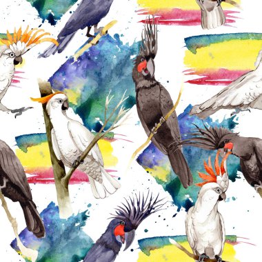 Gökyüzü kuş siyah Amerika papağanı desende bir yaban hayatı suluboya stili tarafından.