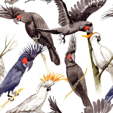 Gökyüzü kuş siyah Amerika papağanı desende bir yaban hayatı suluboya stili tarafından.