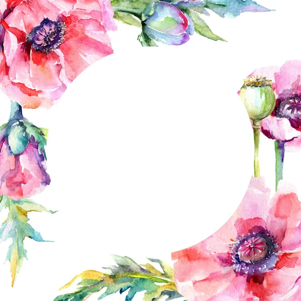 Kır çiçeği haşhaş çiçek çerçeve suluboya tarzında.