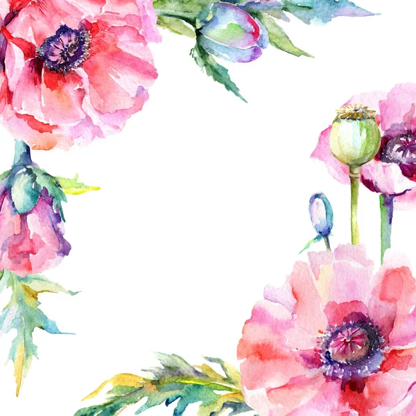 Kır çiçeği haşhaş çiçek çerçeve suluboya tarzında.