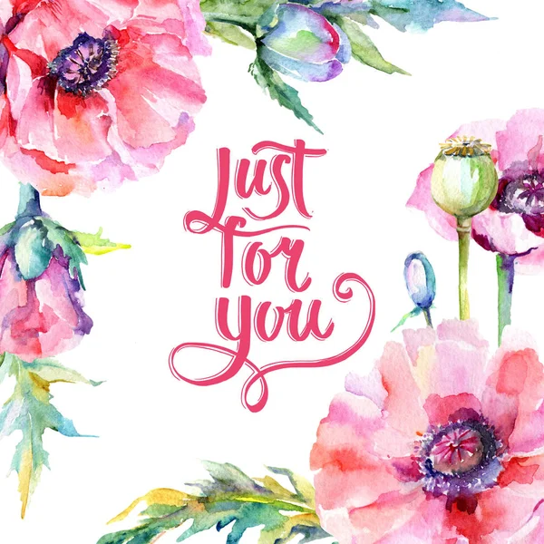 Kır çiçeği haşhaş çiçek çerçeve suluboya tarzında.