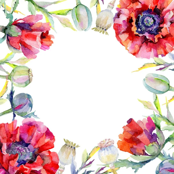Wildflower poppy flower frame in a watercolor style. — Stock Photo, Image