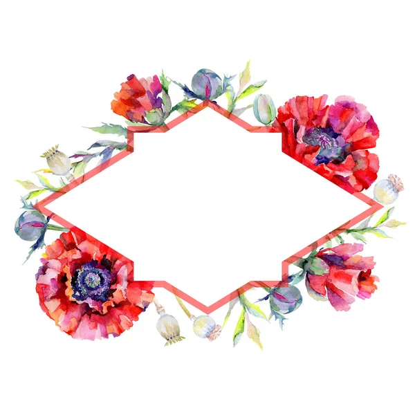 Wildblume Mohn Blume Rahmen in einem Aquarell-Stil. — Stockfoto