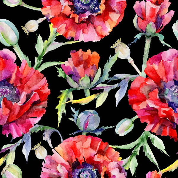Modello di fiore di papavero selvatico in stile acquerello . — Foto Stock
