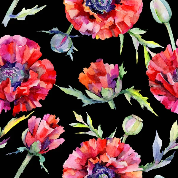 Modello di fiore di papavero selvatico in stile acquerello . — Foto Stock