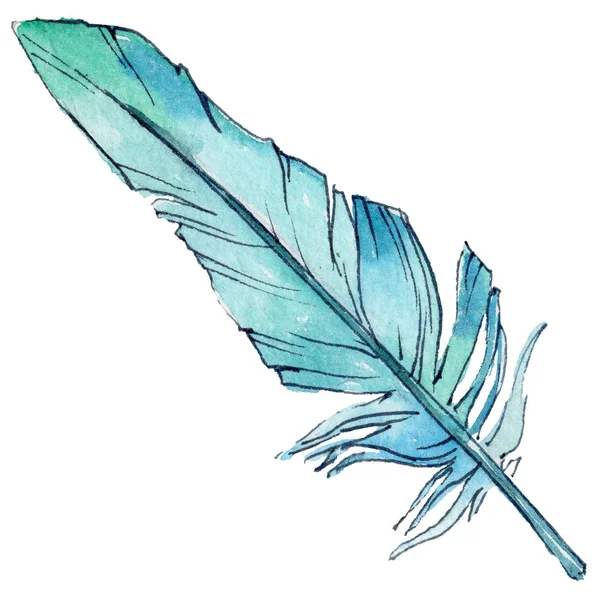 Watercolor bird feather from wing isolated. — Stock Photo, Image