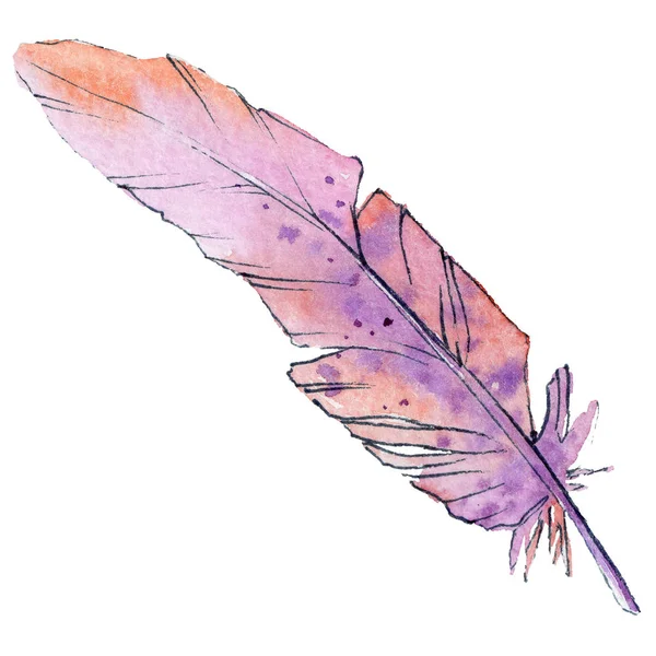 Watercolor bird feather from wing isolated. — Stock Photo, Image