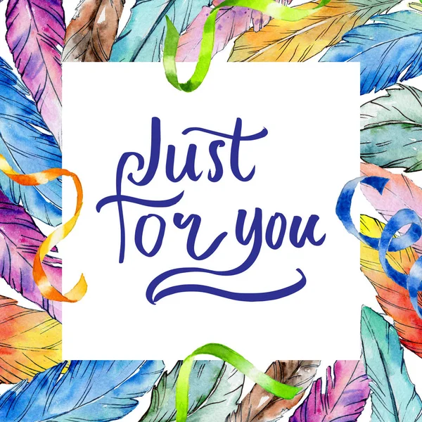 Suluboya kuş kanat tüy çerçevesinden.