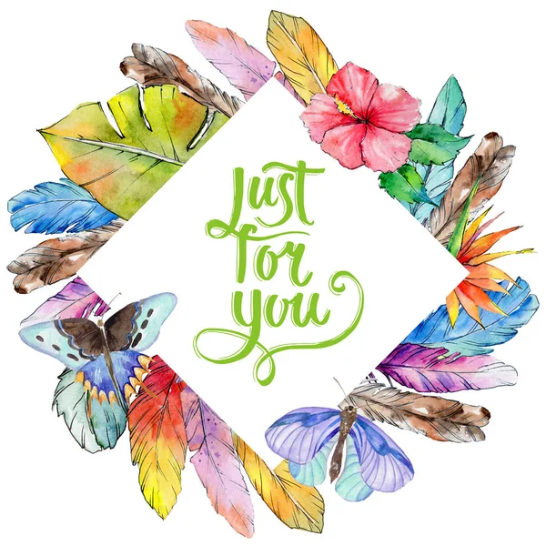 Suluboya kuş kanat tüy çerçevesinden.